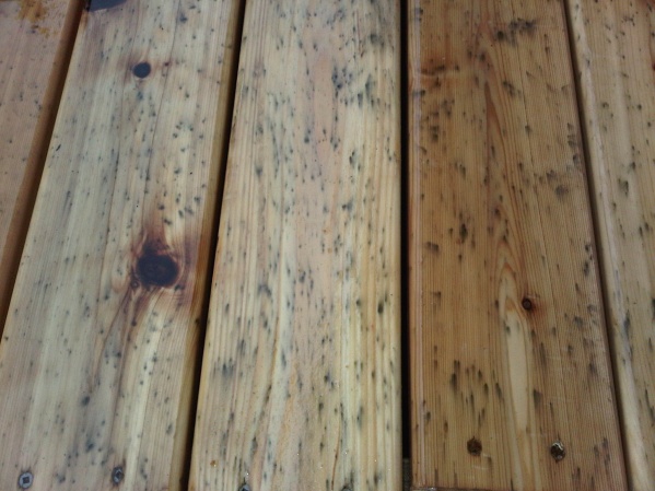deck mold