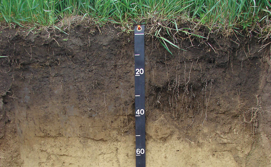 depth of soil