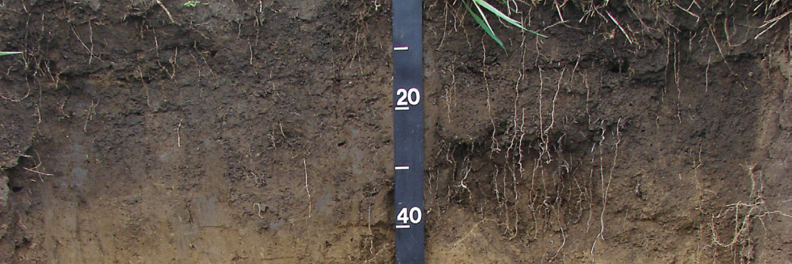 depth of soil